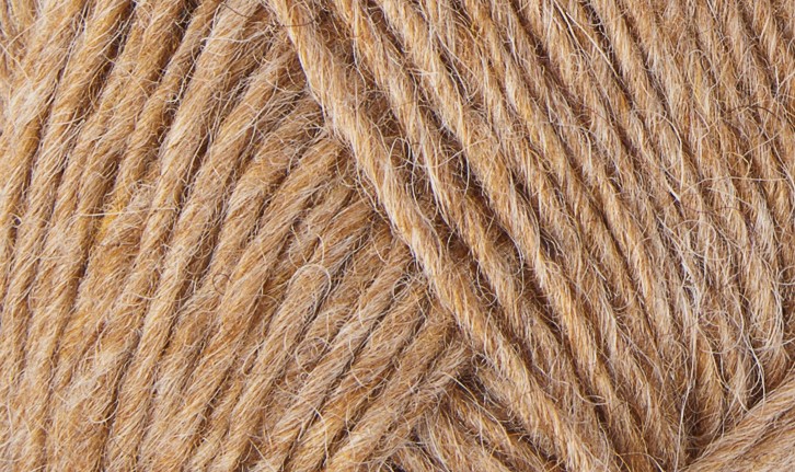 Barley #1419