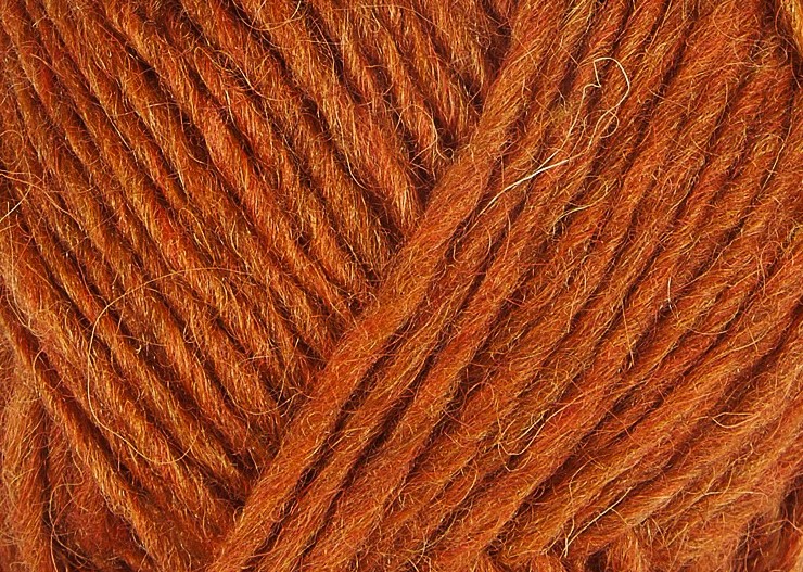 Apricot #1704