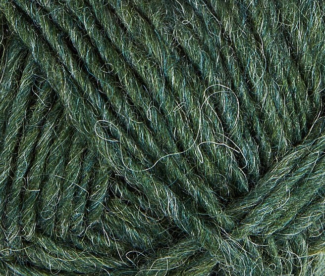 Lyme Grass #1706