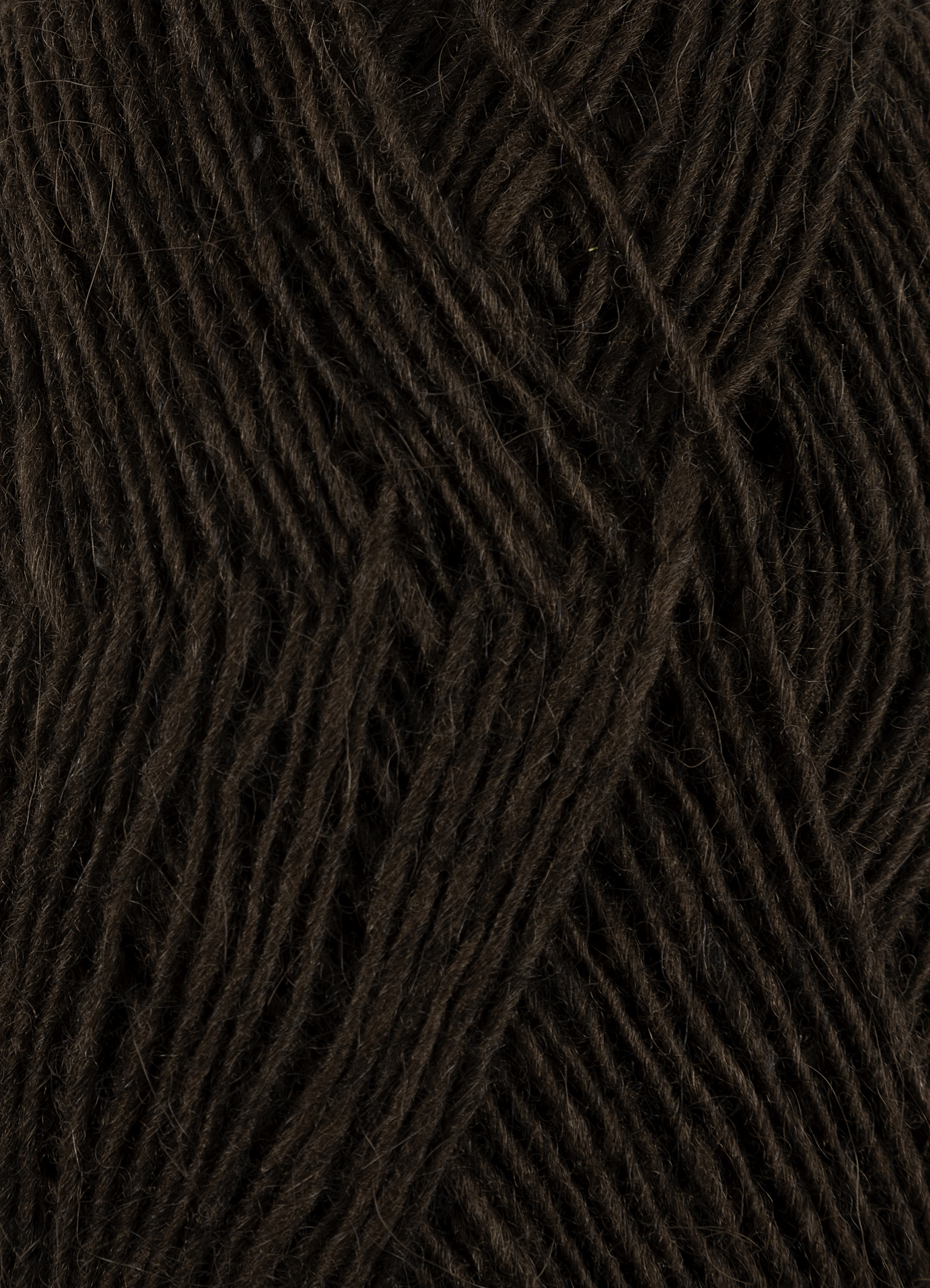 Deep Brown #3003