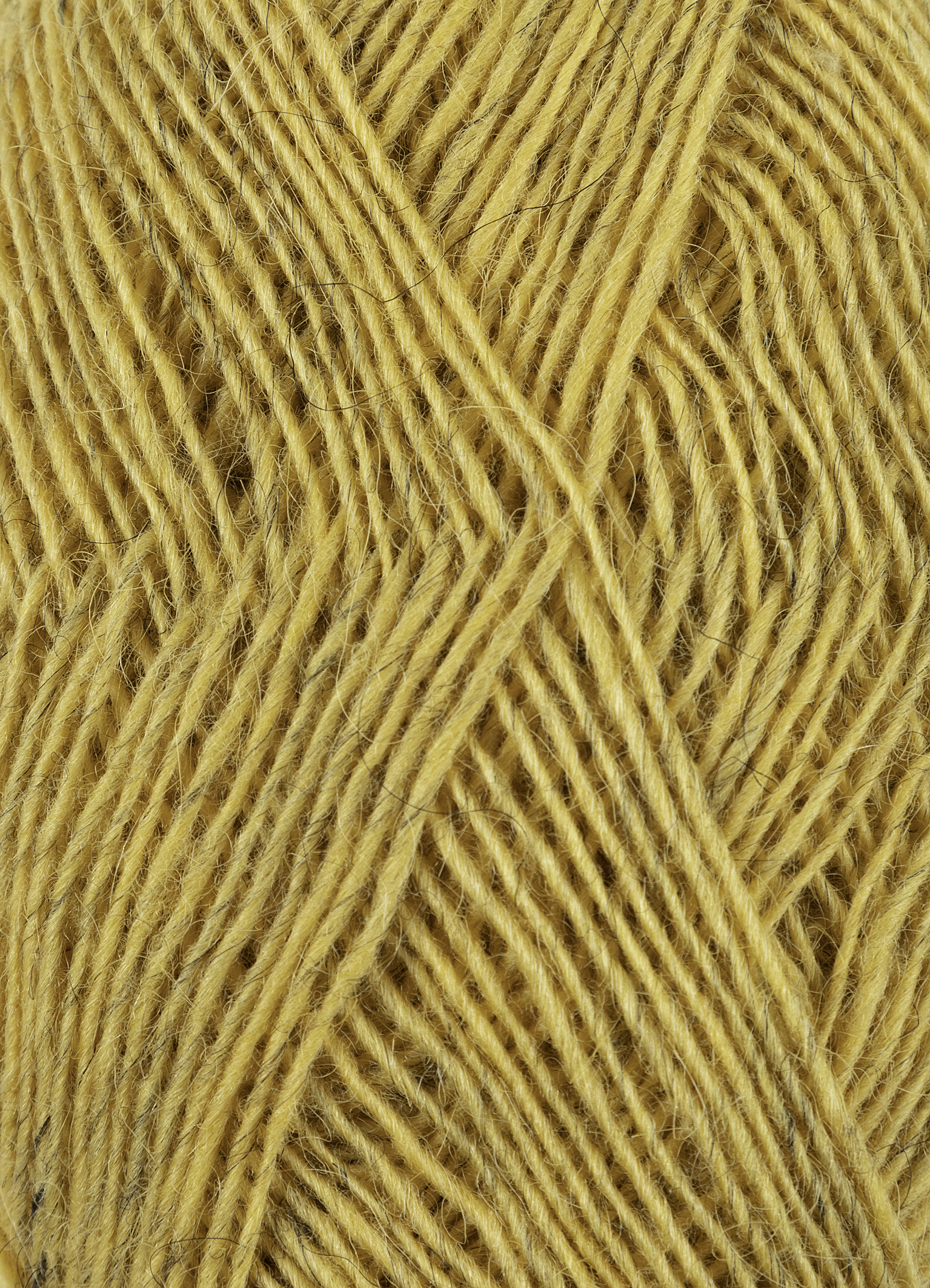 Summer Yellow #3040