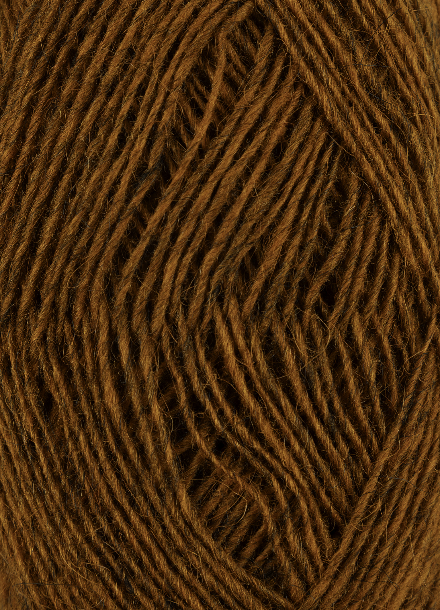 Ginger #3042